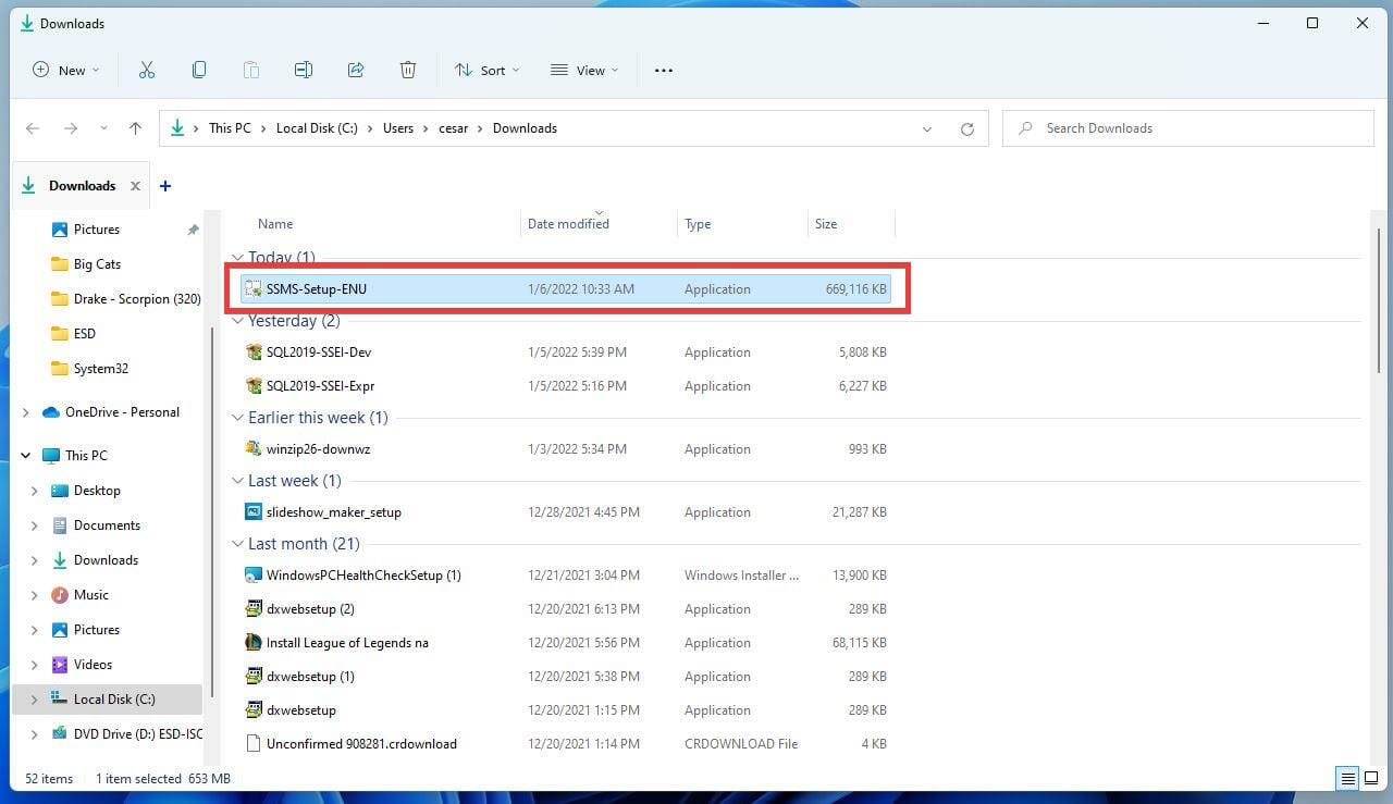 在 Windows 11 上下载和安装 Microsoft SQL Server 2019 的步骤
