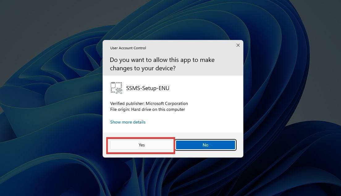在 Windows 11 上下载和安装 Microsoft SQL Server 2019 的步骤