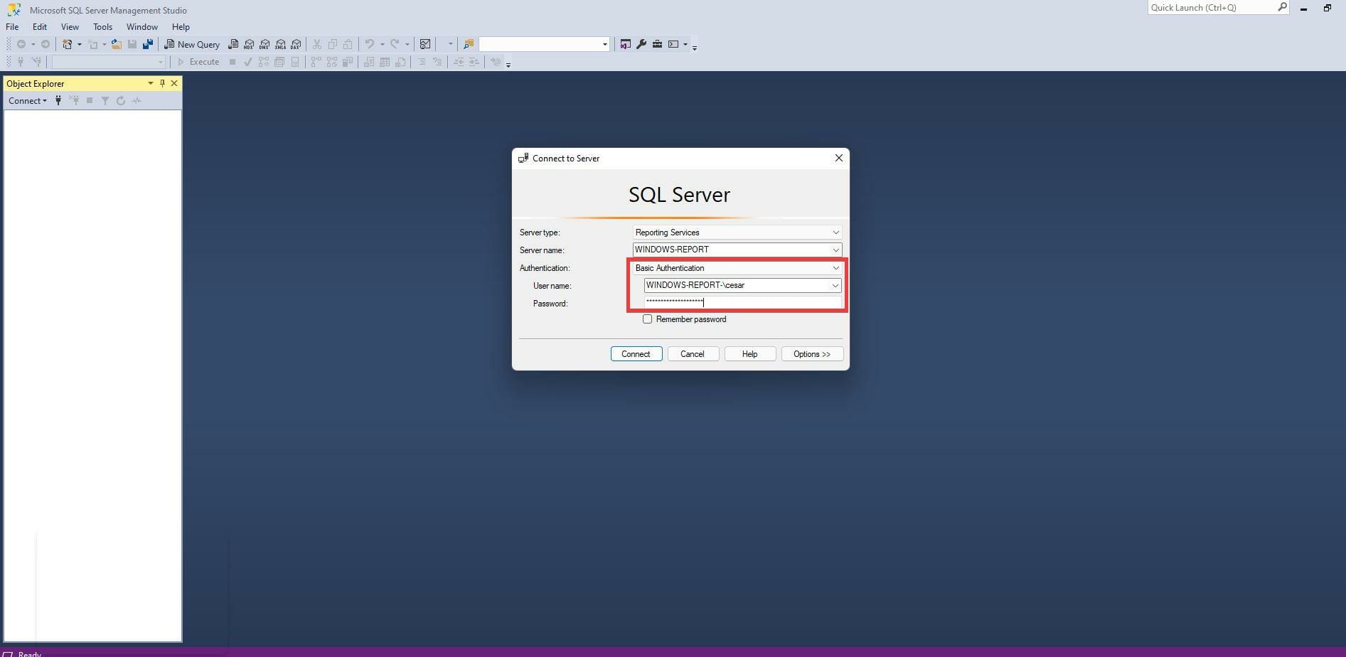 在 Windows 11 上下载和安装 Microsoft SQL Server 2019 的步骤