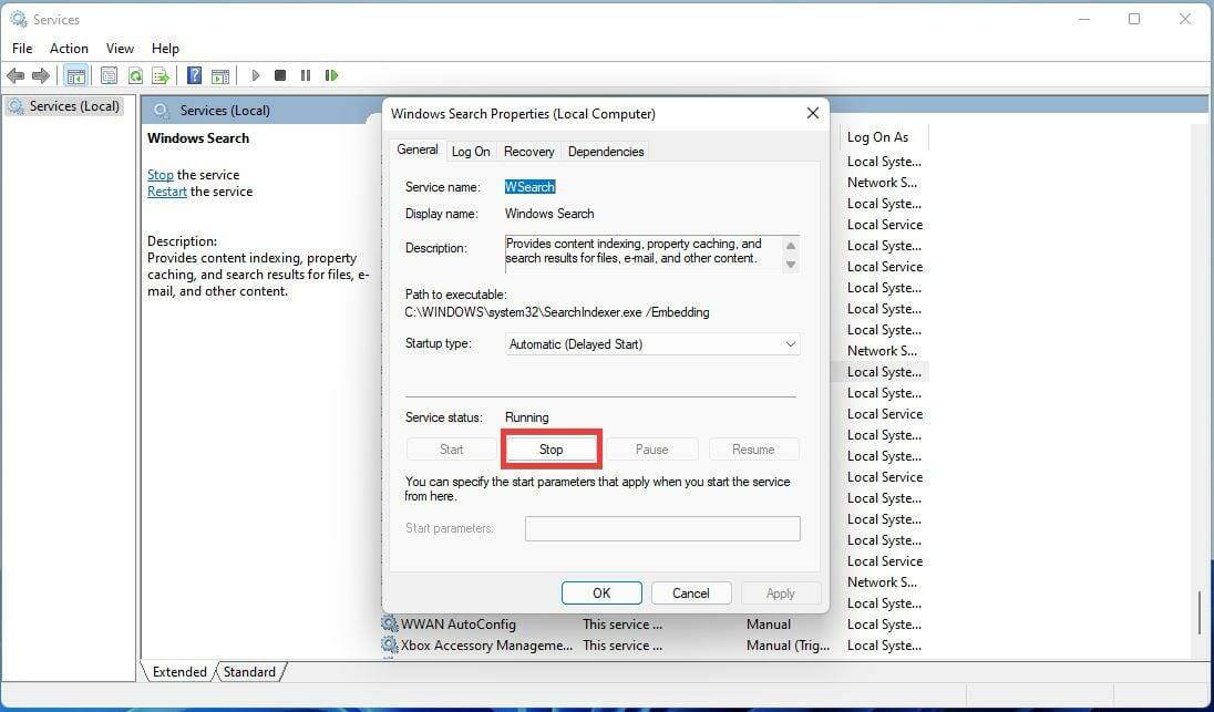 如何禁用 Windows 11中的搜索功能？