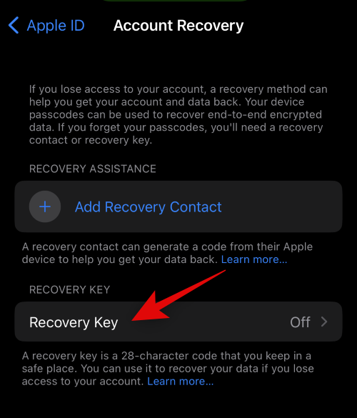 iPhone的高级数据保护功能是什么，如何开启它以及其作用是什么？