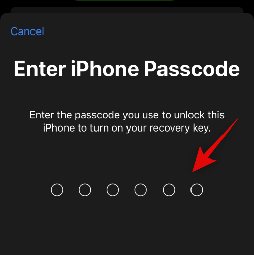iPhone的高级数据保护功能是什么，如何开启它以及其作用是什么？