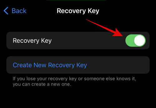 iPhone的高级数据保护功能是什么，如何开启它以及其作用是什么？