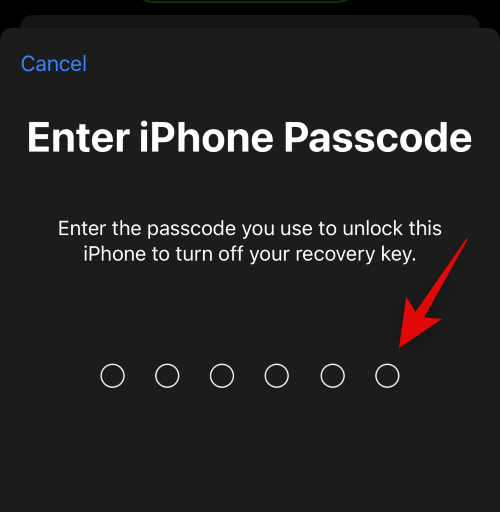iPhone的高级数据保护功能是什么，如何开启它以及其作用是什么？