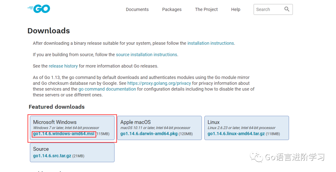 如何手把手配置Golang环境