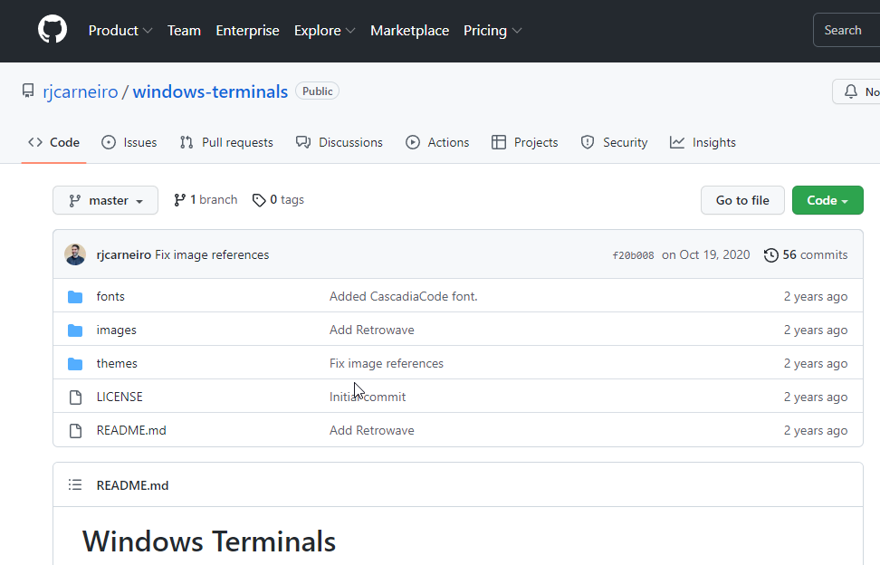 如何在 Windows 11 中下载和安装命令提示符（终端）主题？