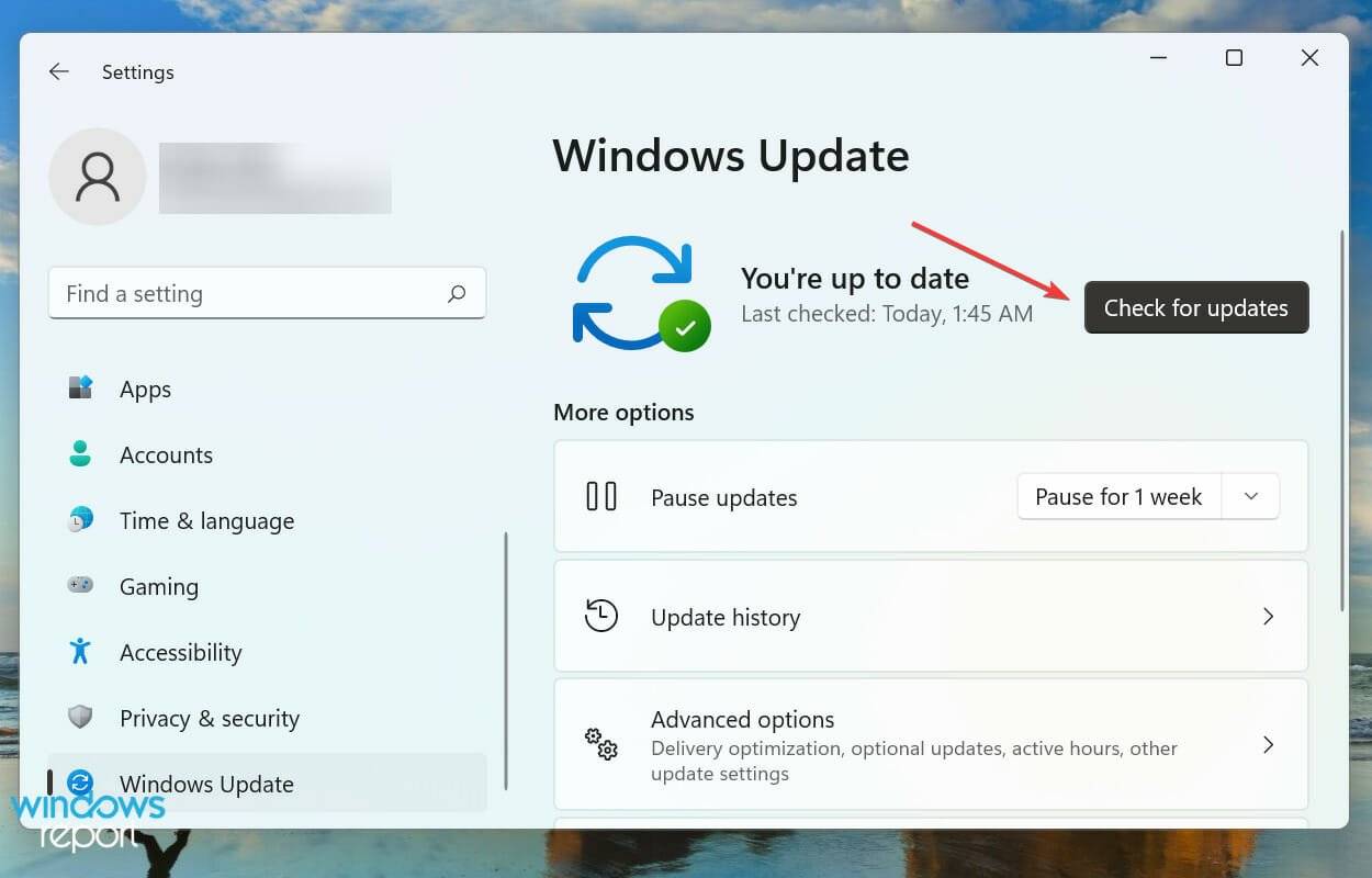 7 修复 Xbox 应用程序无法在 Windows 11 中启动游戏的问题