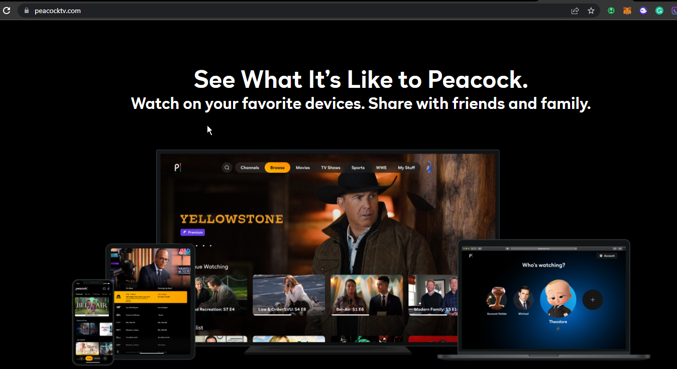 2022 年最佳浏览器推荐：孔雀电视专用。