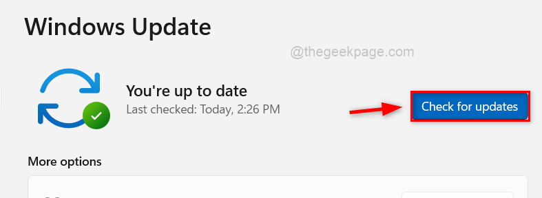 如何修复 Windows 11 / 10 中亮度滑块丢失的问题