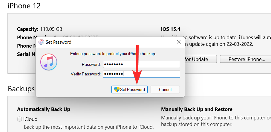如何在 Windows 11 上删除 iTunes 备份