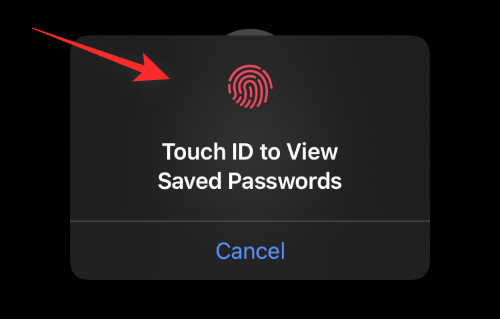 如何在 iPhone 上为您保存的密码添加备注