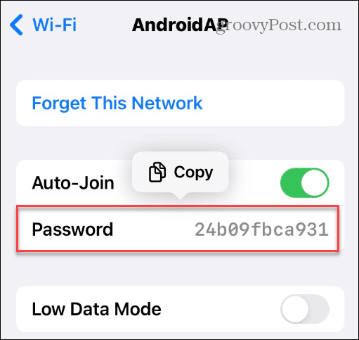 如何在 iPhone 上查看已保存的 Wi-Fi 网络密码