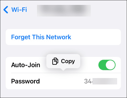 如何在 iPhone 上查看已保存的 Wi-Fi 网络密码