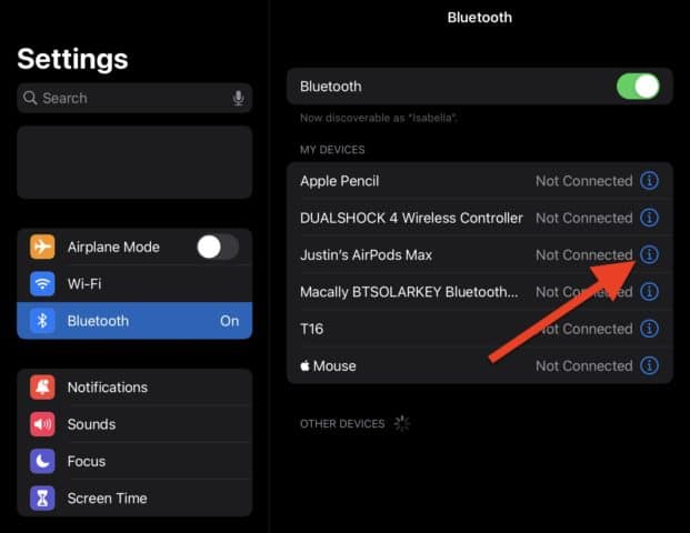 如何修复 iPad 上没有声音的问题