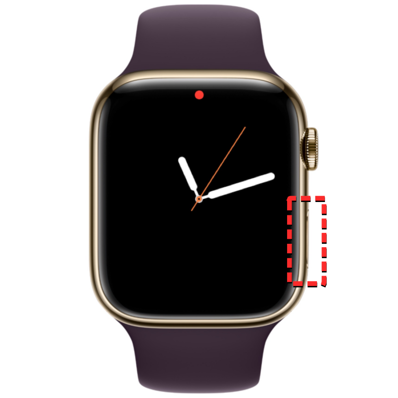 联系人未同步到 Apple Watch？怎么修