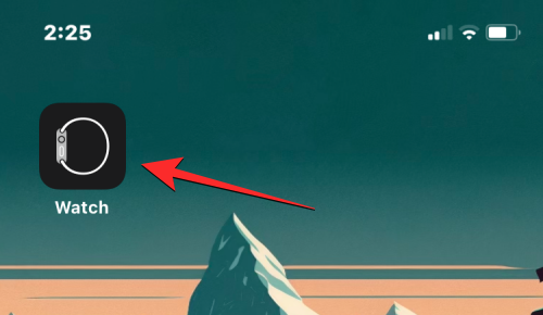 联系人未同步到 Apple Watch？怎么修