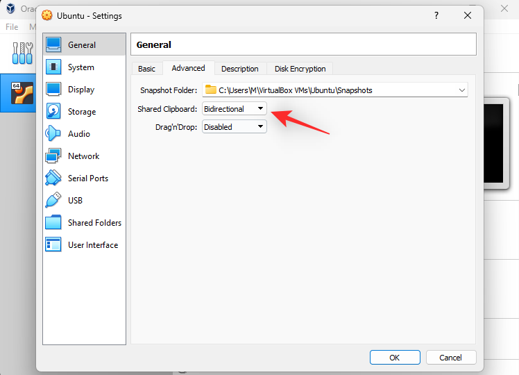 如何解决Windows 11上复制和粘贴无法正常工作的问题？
