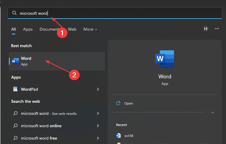 解决方案：Microsoft Word 在 Windows 11 上无法打开的问题修复