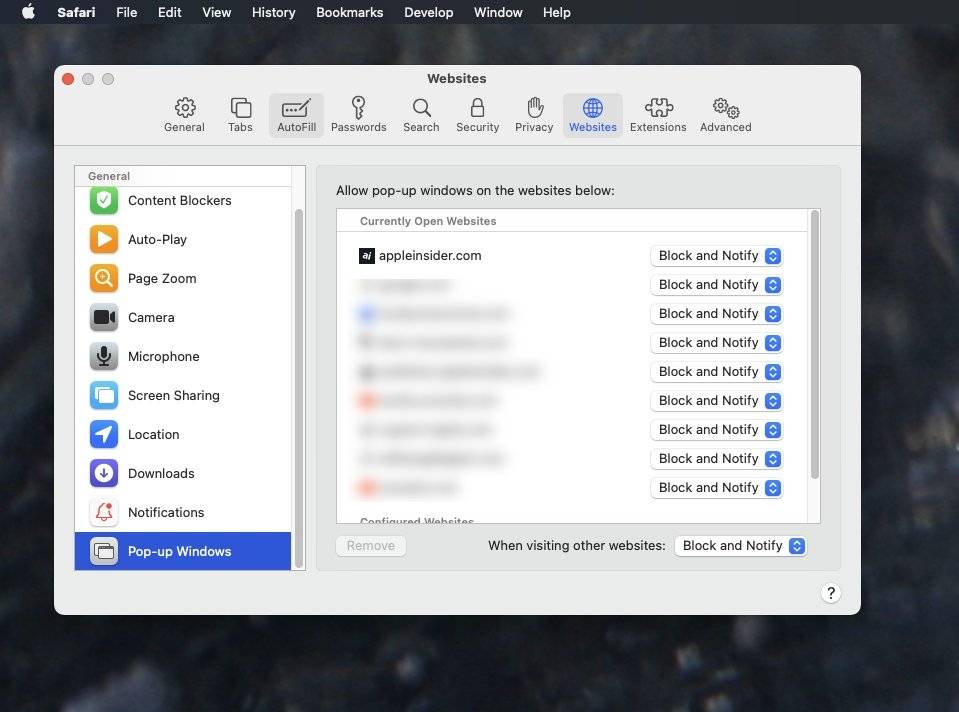 如何在苹果电脑的 Safari 浏览器中启用网站的弹出窗口功能？