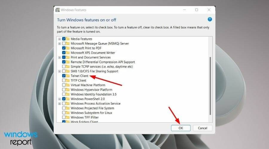Windows 11 Telnet 完整教程：安装/启用和故障排除