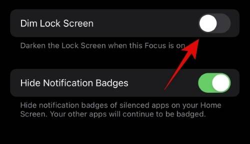 如何调整 iPhone 14 Pro 常亮显示的亮度？