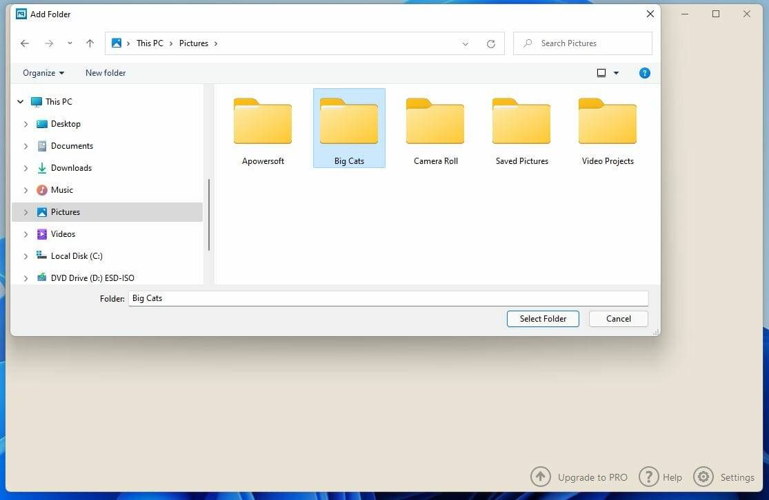 如何用Windows 11制作带音乐的幻灯片？