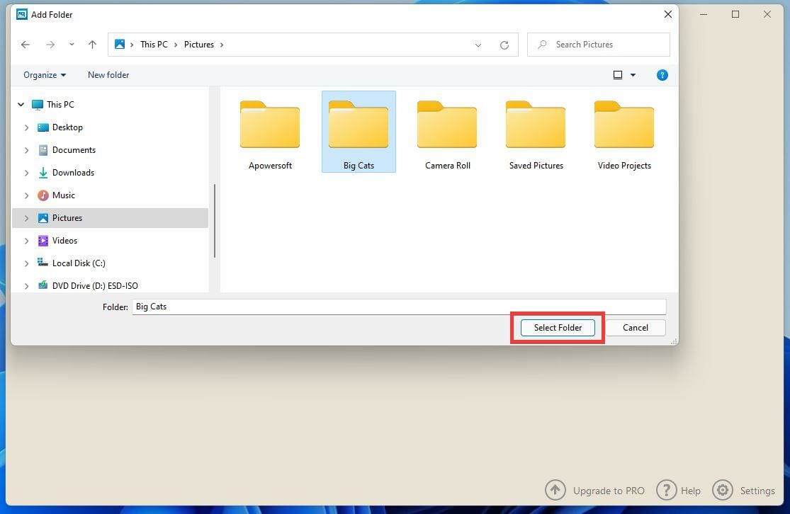如何用Windows 11制作带音乐的幻灯片？