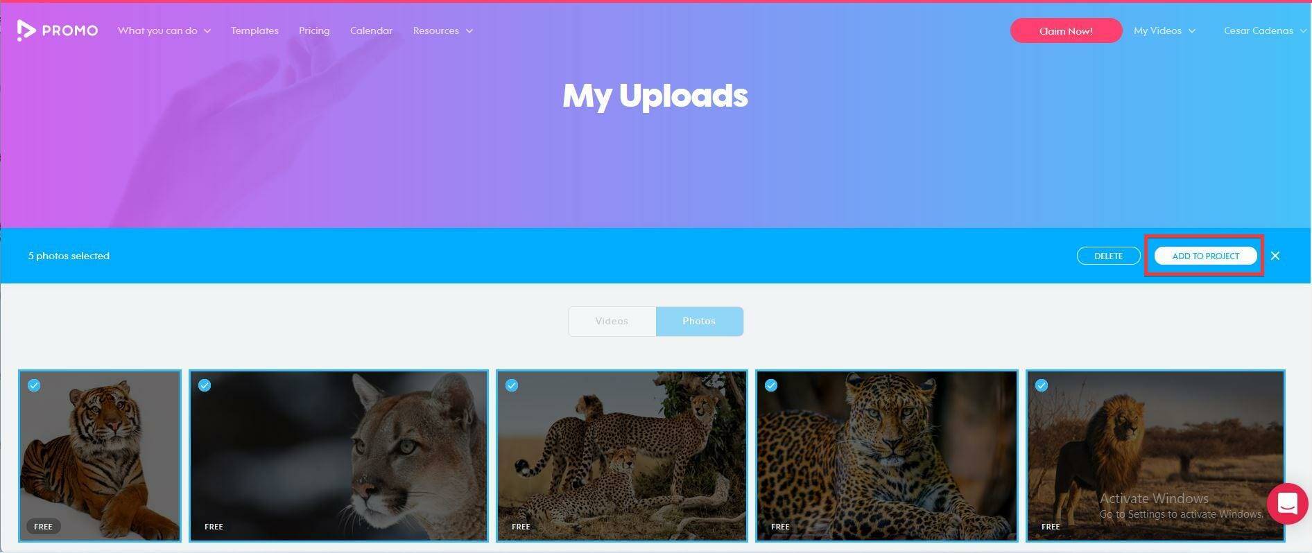 如何用Windows 11制作带音乐的幻灯片？
