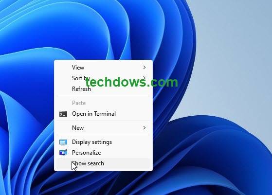 如何在Windows 11中启用或禁用桌面搜索栏？