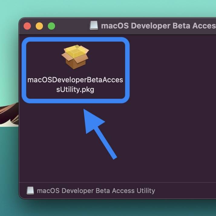 如何安装 macOS Monterey 开发者测试版