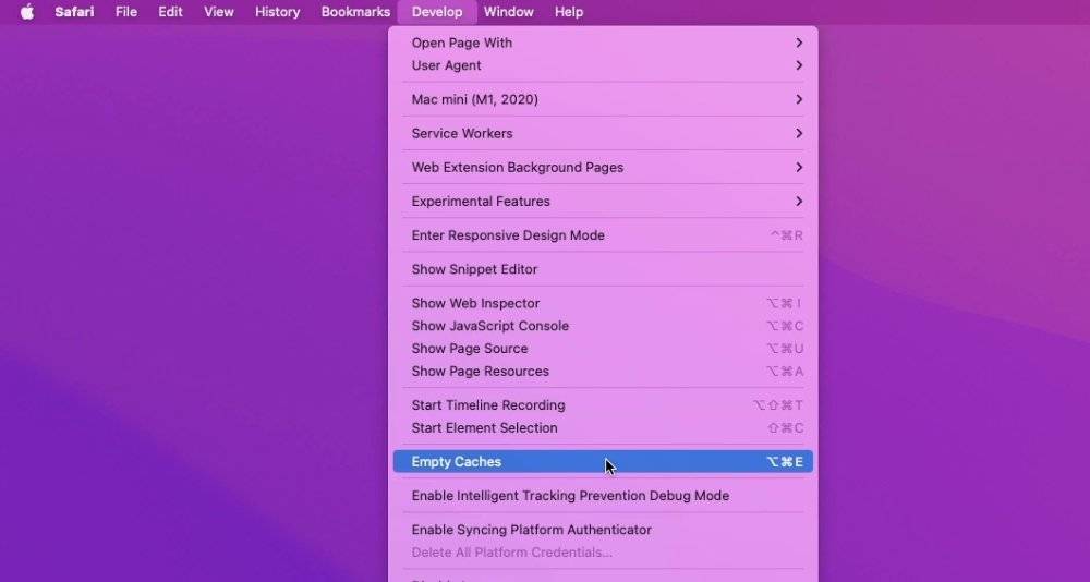 清除 Safari 缓存：在 Mac 和 iPhone 上清空浏览器缓存的方法及作用说明