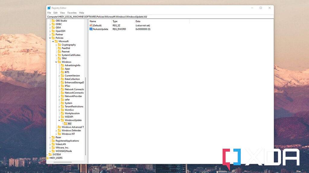 如何在 Windows 11 中禁用更新？
