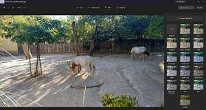 Windows 11 照片应用程序获得重新设计的编辑器和新更新