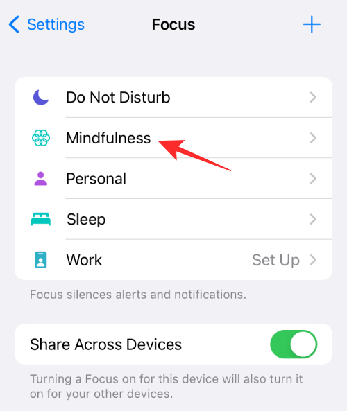 如何使用 iPhone 分享焦点状态给所有人