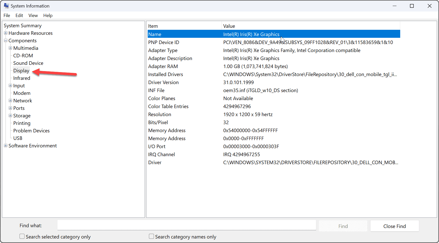 如何在 Windows 11 上查看您的显卡信息