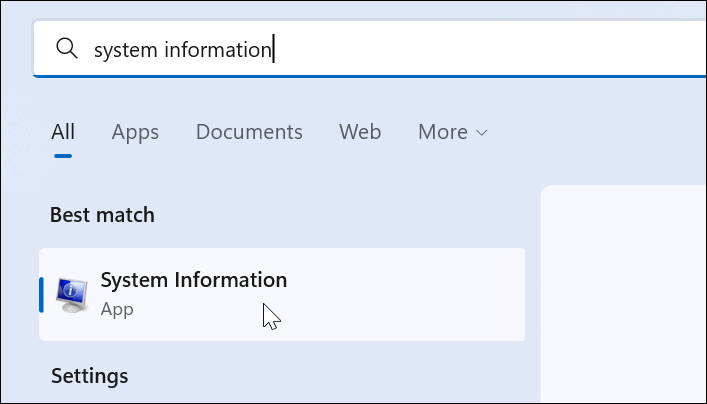 如何在 Windows 11 上查看您的显卡信息