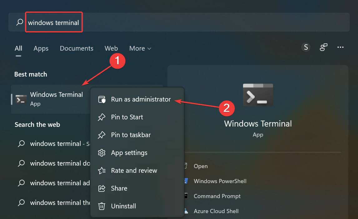如何解决Windows 11出现绿屏死机的问题