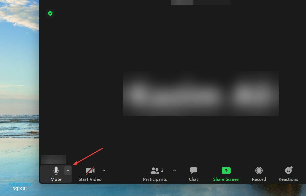 Zoom 无法在 Windows 11 中检测到麦克风怎么办,如何修复
