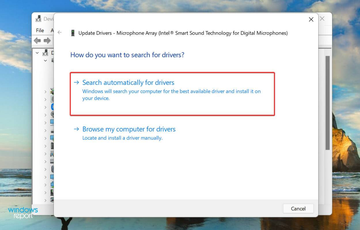 Zoom 无法在 Windows 11 中检测到麦克风怎么办,如何修复