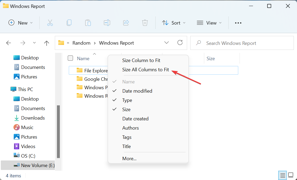 如何在 Windows 11 上自动调整所有列的大小？