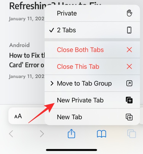 如何在 iPhone 上查看隐私浏览的历史记录?