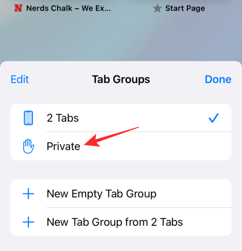如何在 iPhone 上查看隐私浏览的历史记录?