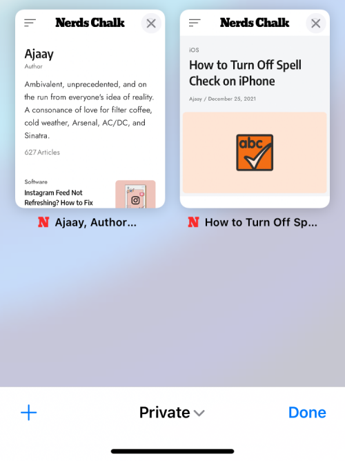 如何在 iPhone 上查看隐私浏览的历史记录?