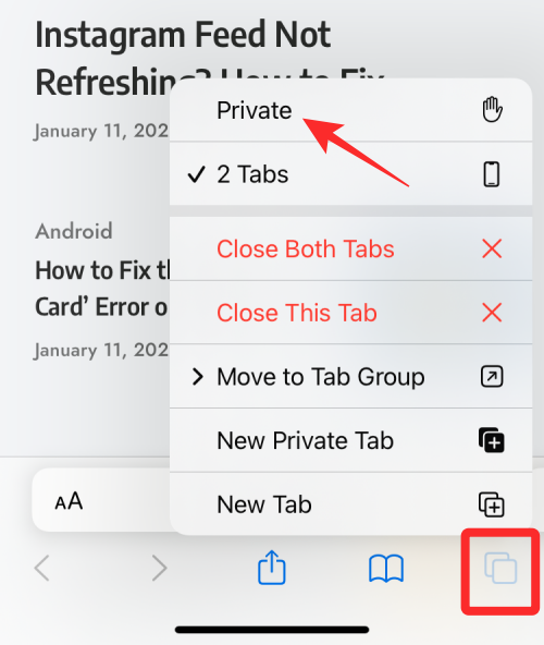 如何在 iPhone 上查看隐私浏览的历史记录?