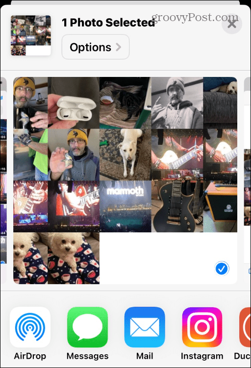 如何用 iPhone 制作照片拼贴？