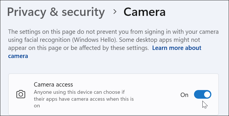 Windows 11 上的网络摄像头设置管理指南