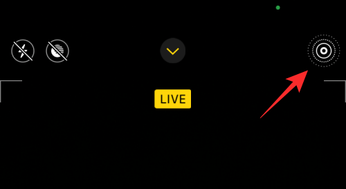 iPhone上视频循环播放的完整指南