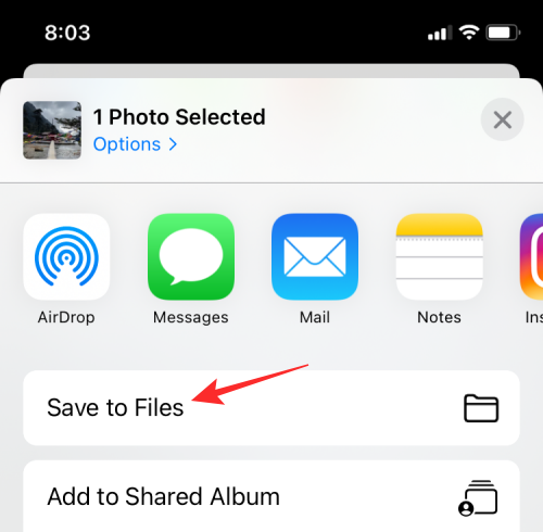 iPhone上视频循环播放的完整指南