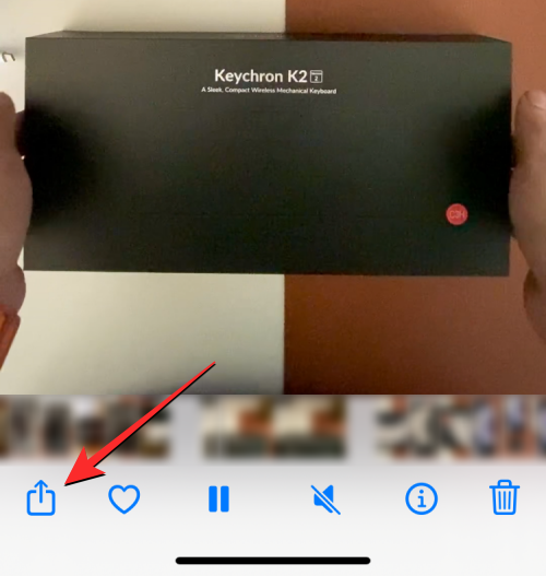 iPhone上视频循环播放的完整指南