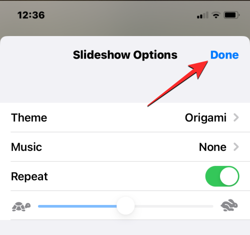 iPhone上视频循环播放的完整指南